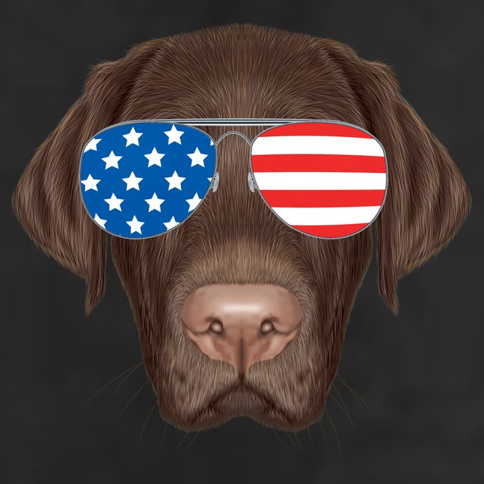 USA Chocolate Lab Dog Trucker Hat