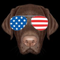 USA Chocolate Lab Dog Womens T-Shirt