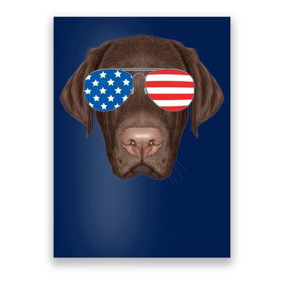 USA Chocolate Lab Dog Poster