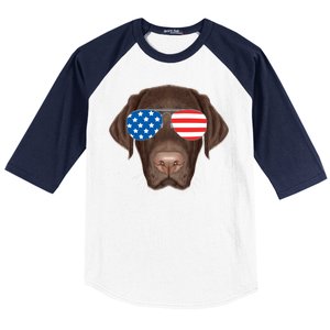 USA Chocolate Lab Dog Baseball Sleeve Shirt