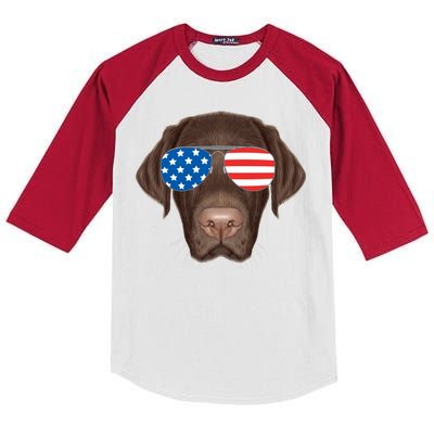 USA Chocolate Lab Dog Kids Colorblock Raglan Jersey