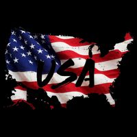 USA Country Flag 16 in Basic Backpack
