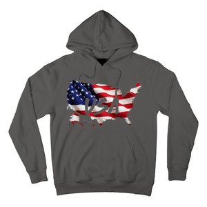 USA Country Flag Hoodie