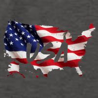 USA Country Flag Vector Backpack