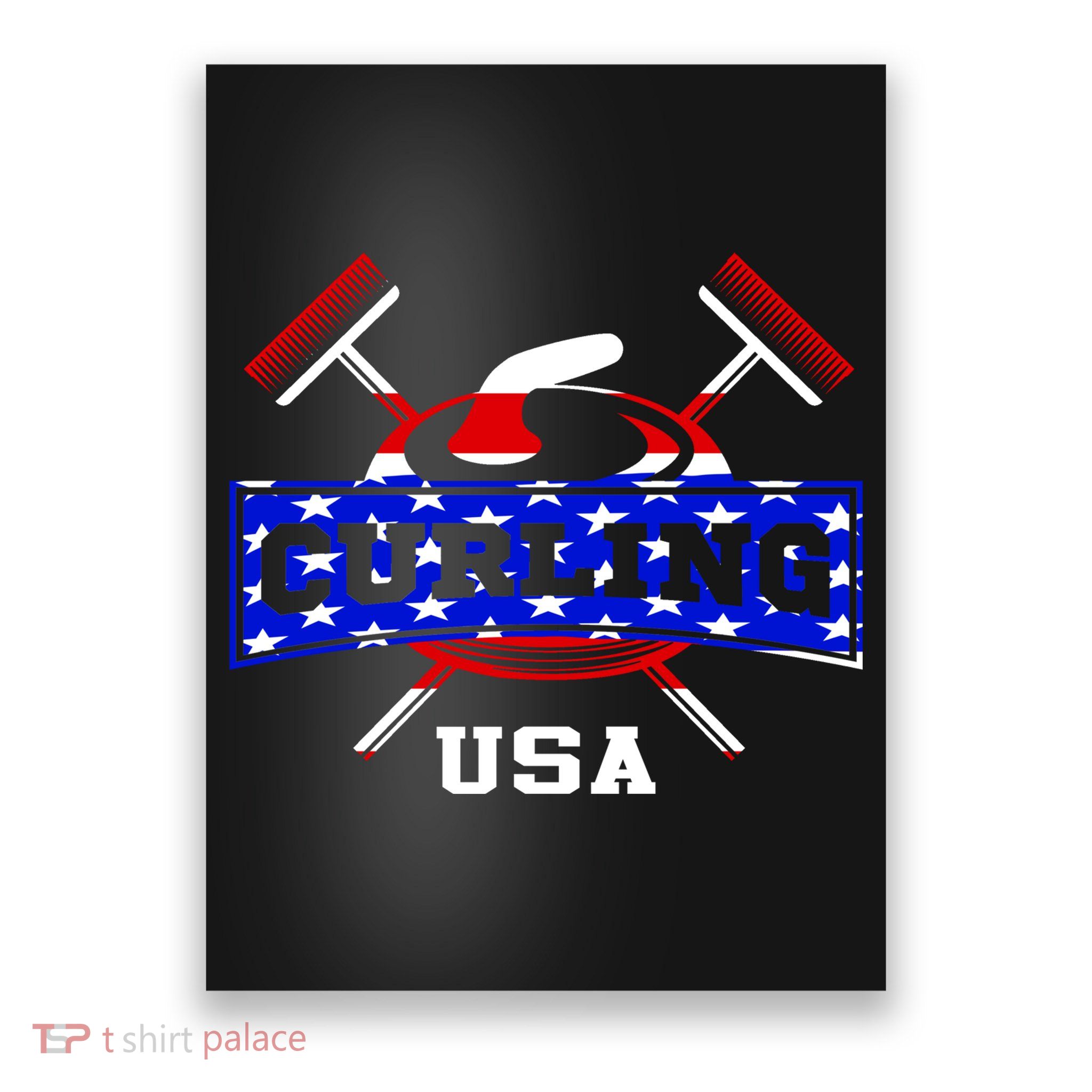 USA Curling Team Champs Winter Sports Games Poster