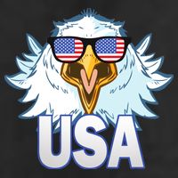 USA Eagle Adult Drive Performance Visor
