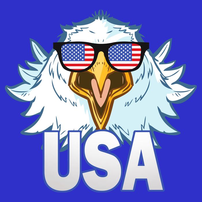 USA Eagle Tie-Dye T-Shirt
