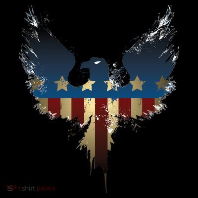 USA Eagle American Flag Grunge T-Shirt