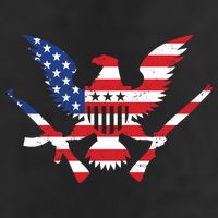 USA Eagle Gun Emblem 7 Panel Mesh Trucker Snapback Hat