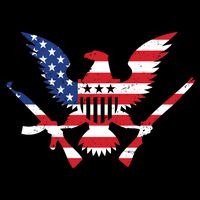 USA Eagle Gun Emblem Toddler Hoodie