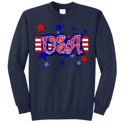 USA Festive Celebration Sweatshirt