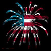Usa Firework 4th Of July 16 in Basic Backpack