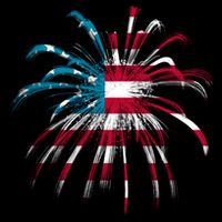 Usa Firework 4th Of July Premium T-Shirt