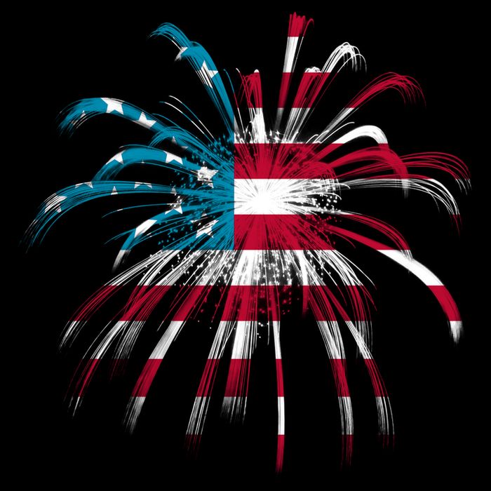 Usa Firework 4th Of July Premium T-Shirt