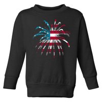 Usa Firework 4th Of July Toddler Sweatshirt