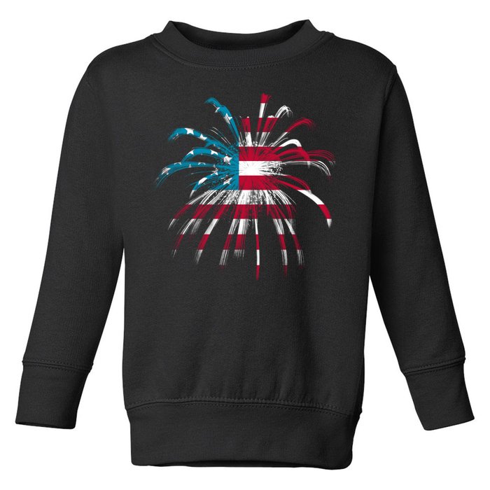 Usa Firework 4th Of July Toddler Sweatshirt