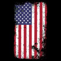USA Grunge Vintage American Flag Womens T-Shirt