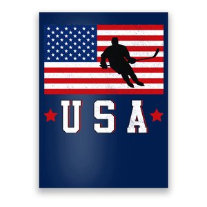 USA Hockey Winter Sports Games Poster