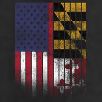 USA Maryland Flag 11oz C Handle Ceramic Mug