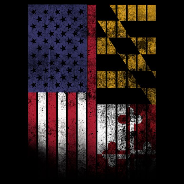 USA Maryland Flag Women's V-Neck T-Shirt
