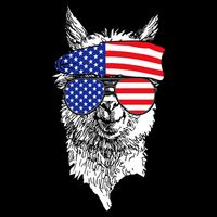 USA Patriotic Llama Bucket Hat