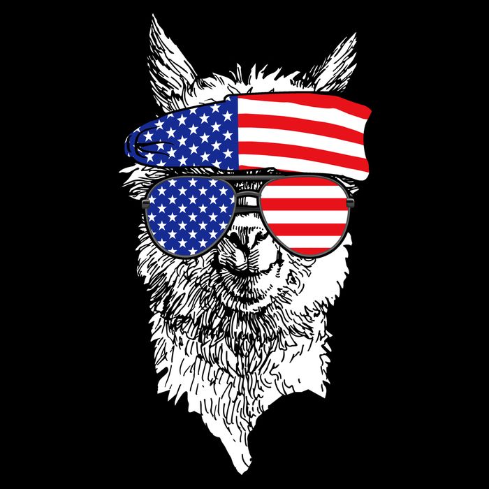 USA Patriotic Llama Bucket Hat