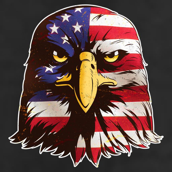 USA Red White And Blue Bald Eagle Adult Drive Performance Visor