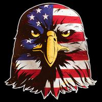 USA Red White And Blue Bald Eagle Baby Bodysuit