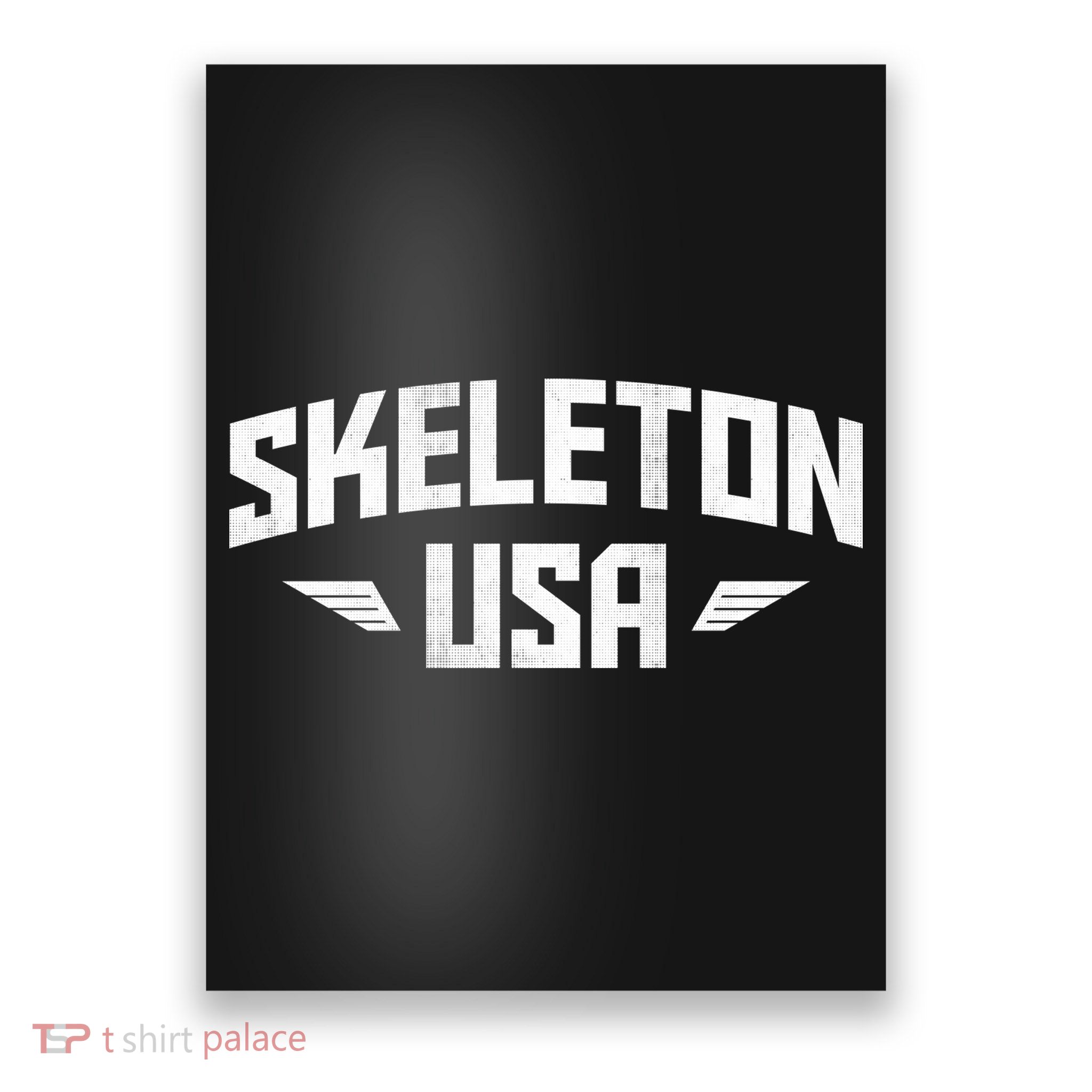 USA Skeleton Team Poster