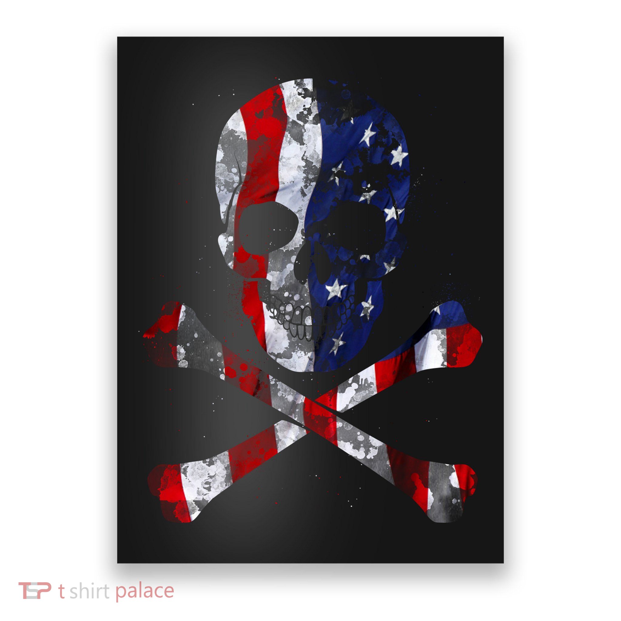 USA Skull Crossbone  Poster