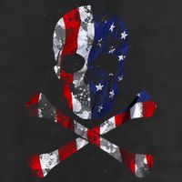 USA Skull Crossbone  25L Jumbo Tote