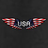 USA Wing Crest Logo 7 Panel Mesh Trucker Snapback Hat