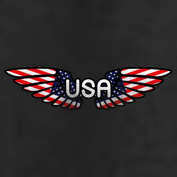 USA Wing Crest Logo 7 Panel Mesh Trucker Snapback Hat