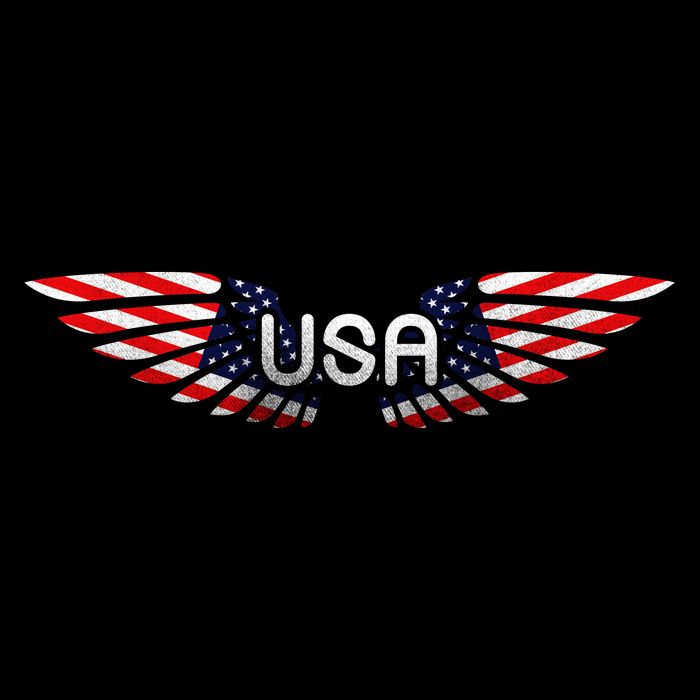 USA Wing Crest Logo Backpack