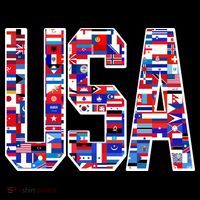 USA World Flags Pattern Womens T-Shirt