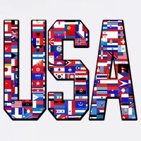 USA World Flags Pattern Garment-Dyed Sweatshirt