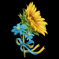Ukraine Sunflowers And Wildflowers In Ukrainian Flag Colors Kids Hoodie