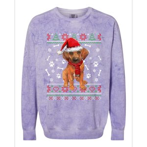 Ugly Sweater Christmas Rhodesian Ridgeback Santa Hat Pajama Sweatshirt Colorblast Crewneck Sweatshirt