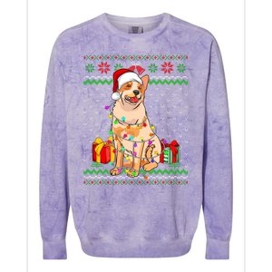 Ugly Sweater Christmas Lights Australian Cattle Dog Lover Colorblast Crewneck Sweatshirt