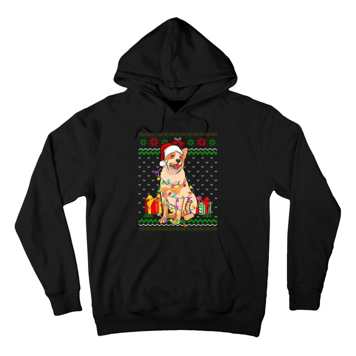 Ugly Sweater Christmas Lights Australian Cattle Dog Lover Hoodie