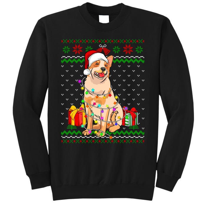 Ugly Sweater Christmas Lights Australian Cattle Dog Lover Tall Sweatshirt