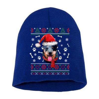 Ugly Sweater Christmas Blue Heeler Santa Hat Pajama Xmas Cool Gift Short Acrylic Beanie