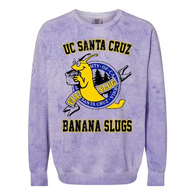 Uc Santa Cruz Colorblast Crewneck Sweatshirt