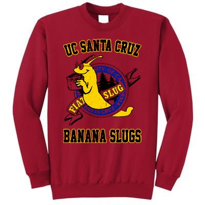 Uc Santa Cruz Tall Sweatshirt