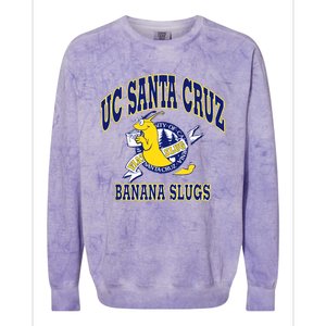 Uc Santa Cruz Ucsc Colorblast Crewneck Sweatshirt