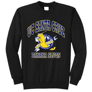 Uc Santa Cruz Ucsc Sweatshirt