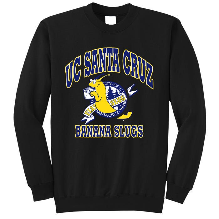 Uc Santa Cruz Ucsc Tall Sweatshirt