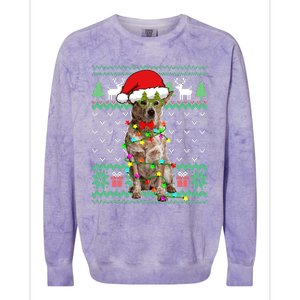 Ugly Sweater Christmas Lights Australian Cattle Dog Puppy Long Sleeve Colorblast Crewneck Sweatshirt