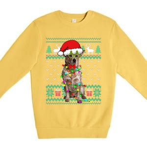 Ugly Sweater Christmas Lights Australian Cattle Dog Puppy Long Sleeve Premium Crewneck Sweatshirt