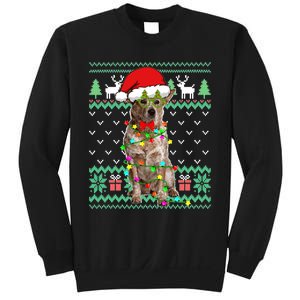 Ugly Sweater Christmas Lights Australian Cattle Dog Puppy Long Sleeve Sweatshirt